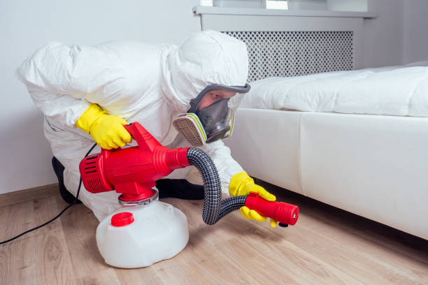 Best Flea Control Services  in Pen Argyl, PA