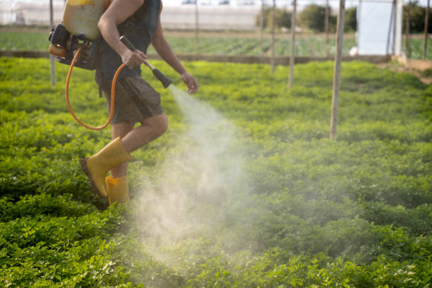 Best Affordable Pest Control Services  in Pen Argyl, PA